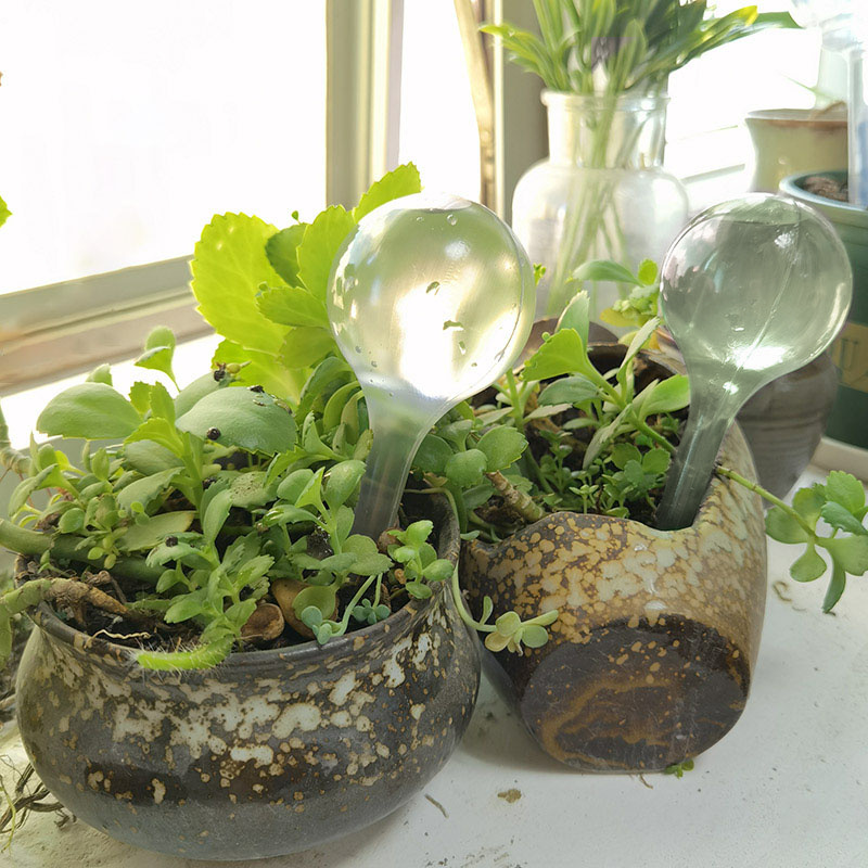 Zavlažovacia guľa dávkovač vody do kvetináča