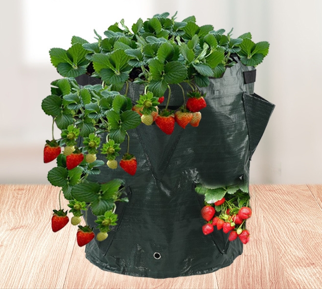 Vrece vak na pestovanie jahôd 35cm