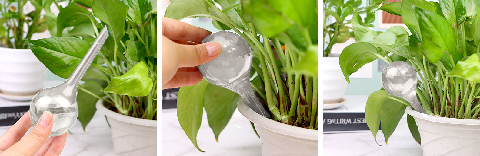 Zavlažovacia guľa dávkovač vody do kvetináča