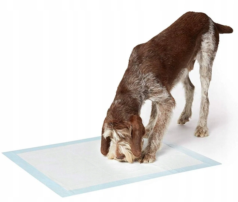 Hygienické podložky absorpčné 6 vrstvé pre psy a mačky 50 ks 60x60 cm